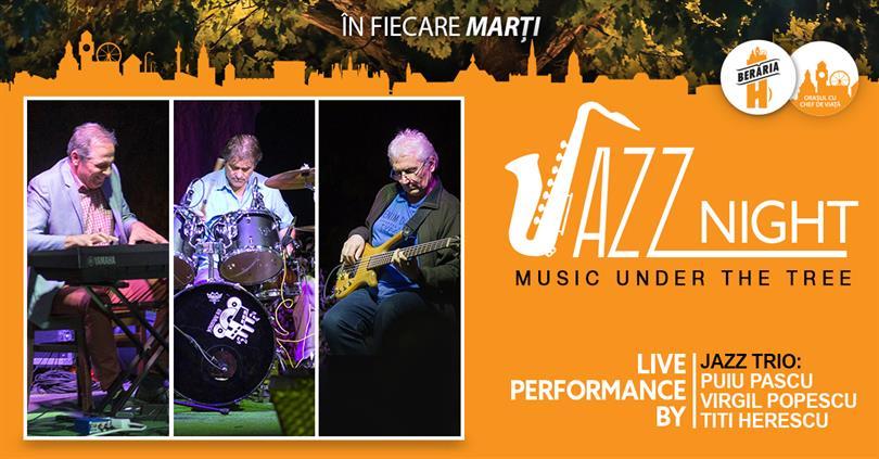 Concert Jazz Trio @ Jazz Night - Music under the tree, marți, 18 iulie 2017 20:00, Beraria H