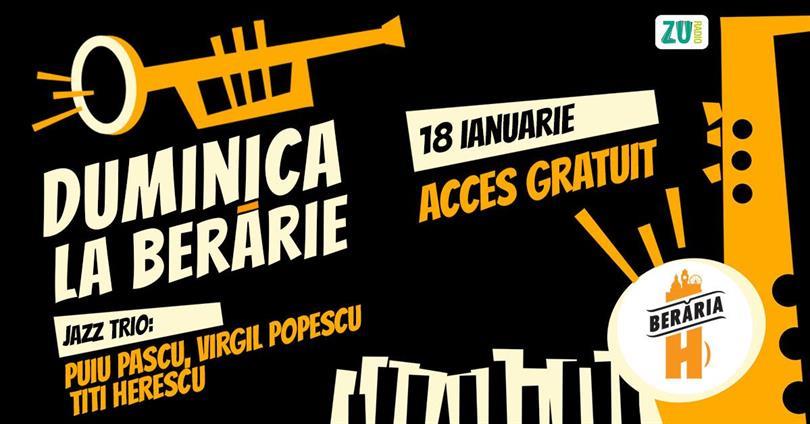 Concert Jazzy Sunday with Puiu Pascu, Virgil Popescu, Titi Herescu Trio, Sunday, 18 January 2026 12:00, Beraria H