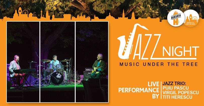 Concert Jazz Trio @ Jazz Night - Music under the tree, marți, 13 iunie 2017 20:00, Beraria H