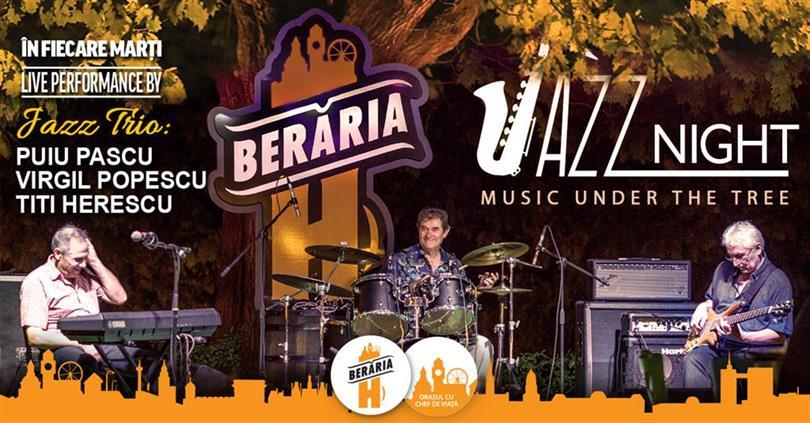 Concert Jazz Trio #LIVE - Music Under The Tree, marți, 06 august 2019 19:00, Beraria H