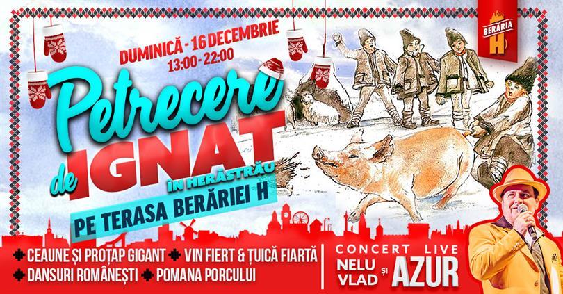 Concert Petrecere de IGNAT în Herăstrău // #Outdoor, duminică, 16 decembrie 2018 13:00, Beraria H