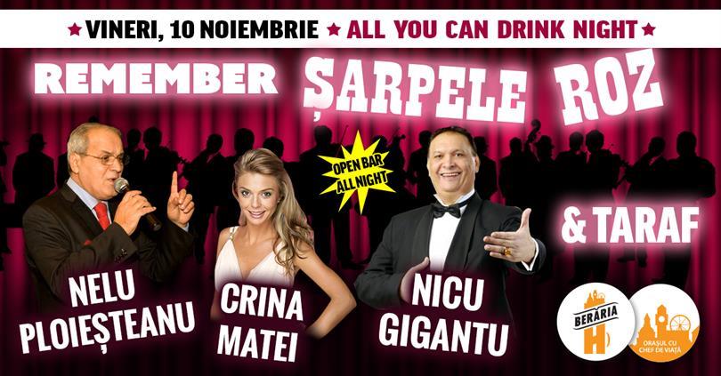 Concert All You Can Drink Night #1: Remember Șarpele Roz, vineri, 10 noiembrie 2017 20:30, Beraria H