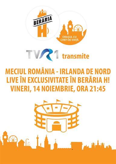 Concert Meciul Romania - Irlanda de Nord, vineri, 14 noiembrie 2014 21:30, Beraria H