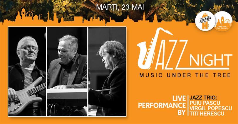 Concert Jazz Trio @ Jazz Night - Music under the tree, marți, 23 mai 2017 20:00, Beraria H