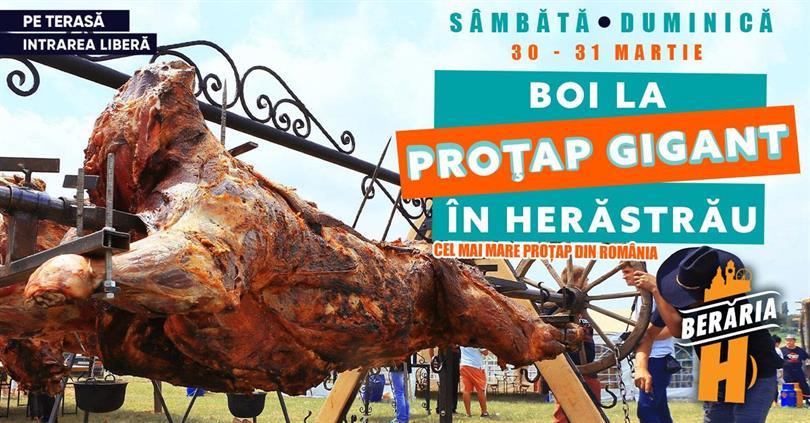 Concert Cattle at the GIGANT Feeding Trough in Herăstrău, Saturday, 30 March 2024 12:00, Beraria H