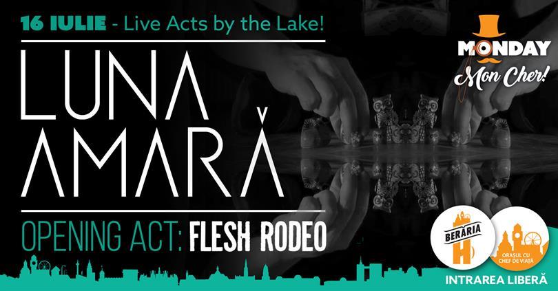 Concert Luna Amară @ Monday, Mon Cher!, Monday, 16 July 2018 19:00, Beraria H