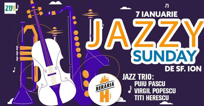 Concert Jazzy Sunday /w Puiu Pascu, Titi Herescu și Virgil Popescu, duminică, 07 ianuarie 2024 12:00, Beraria H