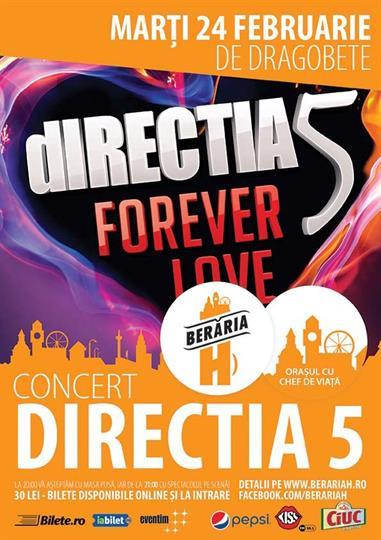 Concert Directia 5 - Concert de Dragobete, marți, 24 februarie 2015 20:00, Beraria H