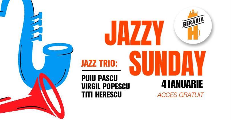 Concert Jazzy Sunday with Puiu Pascu, Virgil Popescu, Titi Herescu Trio, duminică, 04 ianuarie 2026 14:00, Beraria H