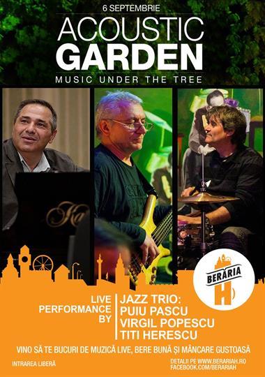 Concert Jazz Trio, marți, 06 septembrie 2016 20:00, Beraria H