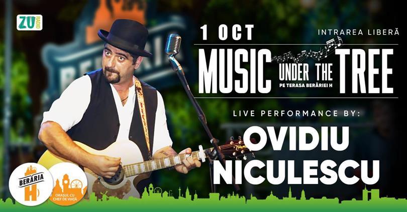 Concert Ovidiu Niculescu // Music under the tree, Wednesday, 01 October 2025 17:00, Beraria H