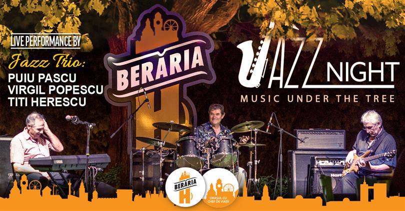 Concert Jazz Trio #LIVE - Music under the tree, miercuri, 15 august 2018 19:00, Beraria H